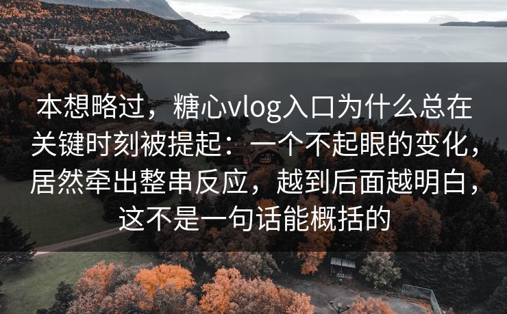 本想略过，糖心vlog入口为什么总在关键时刻被提起：一个不起眼的变化，居然牵出整串反应，越到后面越明白，这不是一句话能概括的