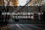 探寻糖心Vlog网页版的魅力：一段不可忽视的网络热潮