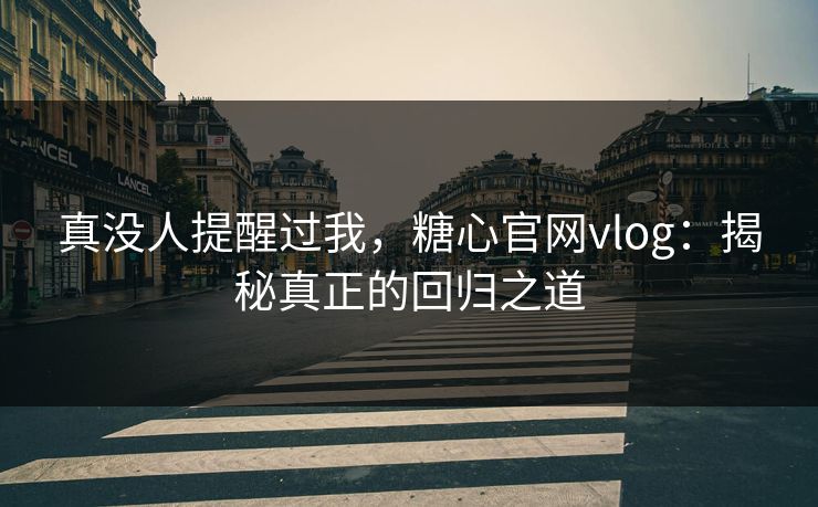 真没人提醒过我，糖心官网vlog：揭秘真正的回归之道