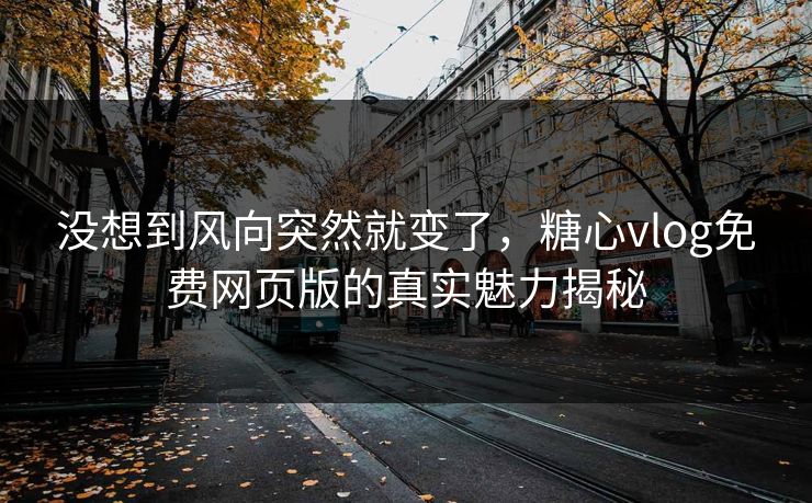没想到风向突然就变了，糖心vlog免费网页版的真实魅力揭秘