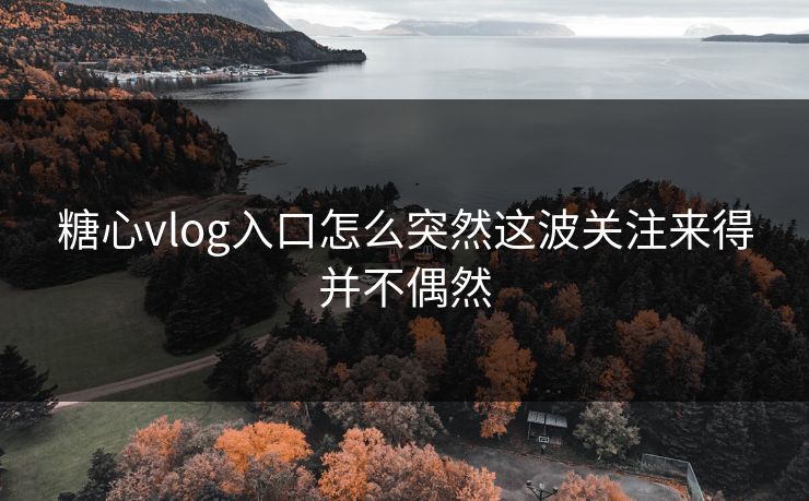 糖心vlog入口怎么突然这波关注来得并不偶然